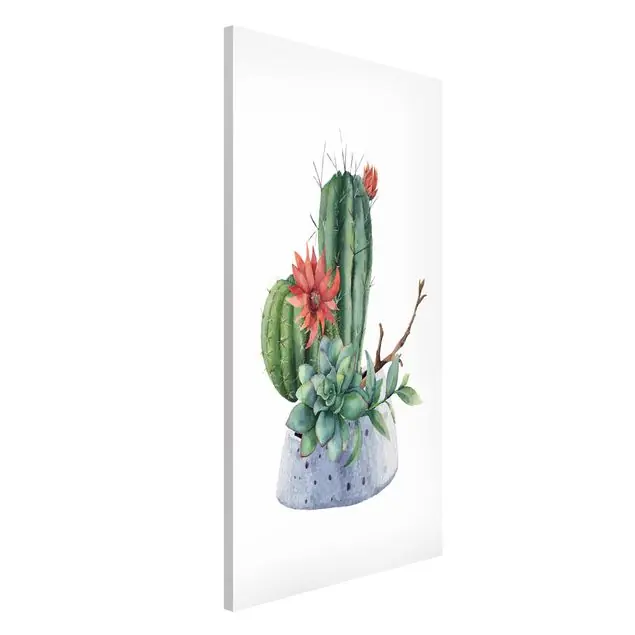 Aktuell Aquarell Kakteen Illustration Magnettafel