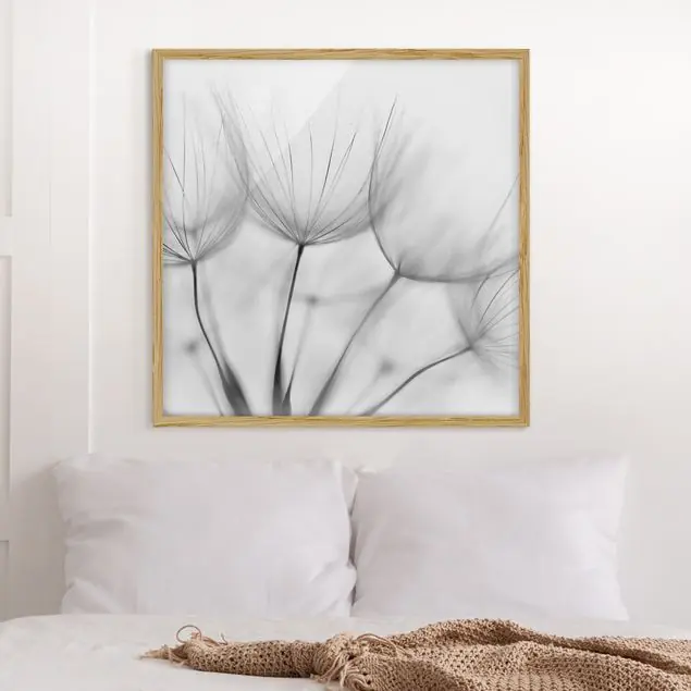 In einer Pusteblume Schwarz-Weiß Bild mit Rahmen in Manufakturqualität • Eiche naturbelassen • inkl. Rahmung von Hand • Made in Germany Bestseller