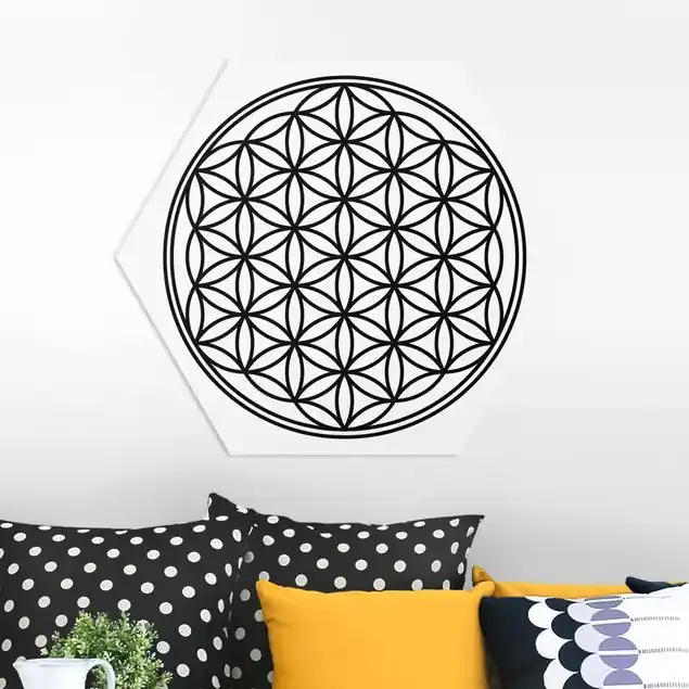 Blume des Lebens Hexagon-Forexbild Direkt Vom Hersteller