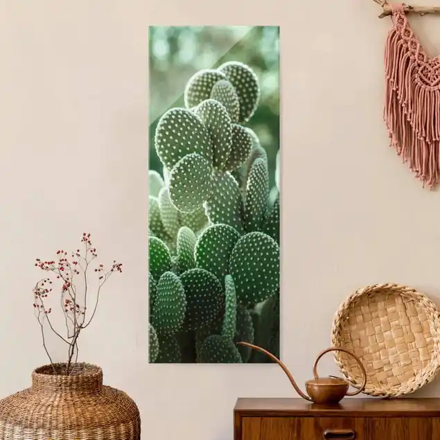Nur Für Kurze Zeit Kakteen Glasbild