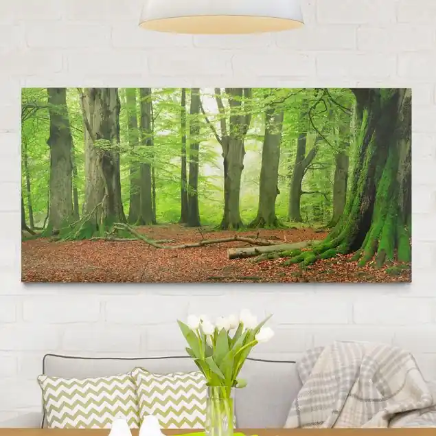 Mighty Beech Trees Leinwandbild • hergestellt in Deutschland • langlebiges Canvas mit Holzkeilrahmen • klassische Struktur • 260 g/m² Finale Aktion