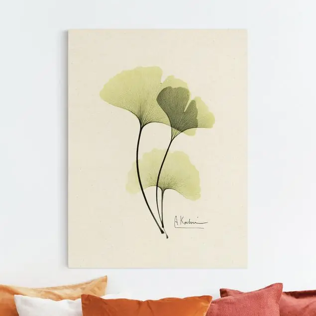 Markenprodukt X-Ray - Ginkgo Leinwandbild auf Canvas Natural