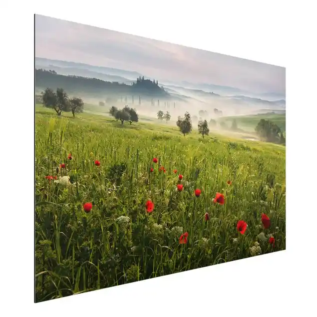 Beliebt Toskana Frühling Alu-Dibond Outdoor Bild