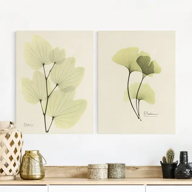 Sonderangebot X-Ray - Orchideenbaumblätter & Ginko 2-teiliges Leinwandbild