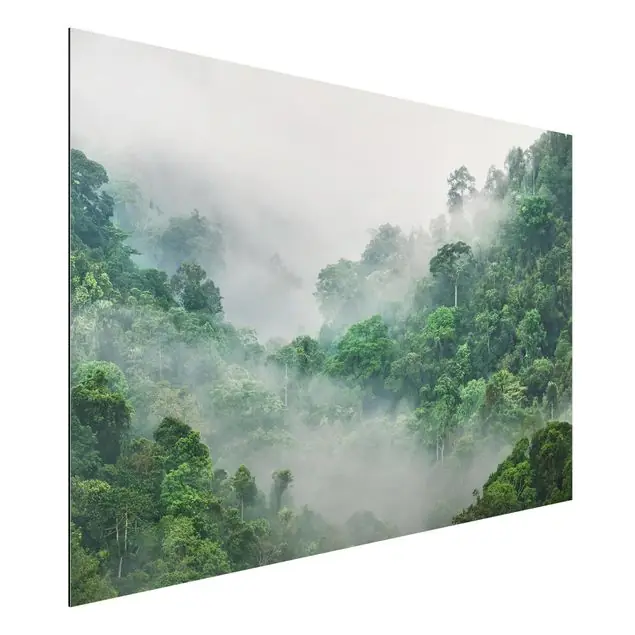 Dschungel im Nebel Alu-Dibond Outdoor Bild Wochenendangebot
