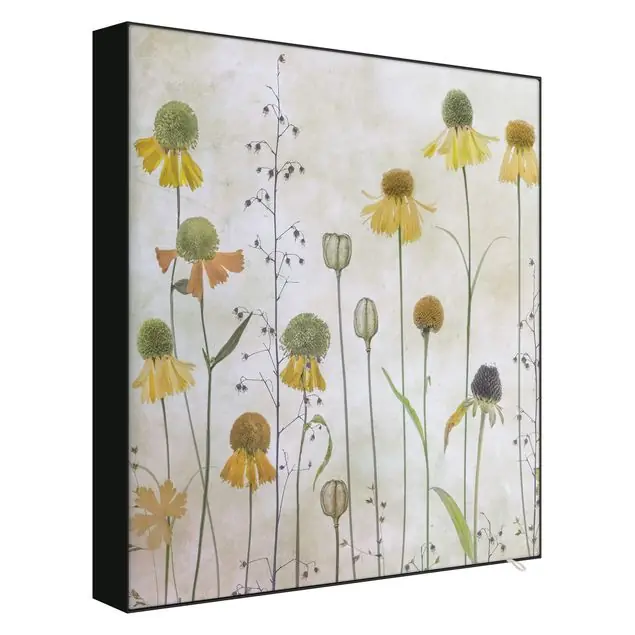 Solange Der Vorrat Reicht Zarte Helenium Blüten Wechselbild