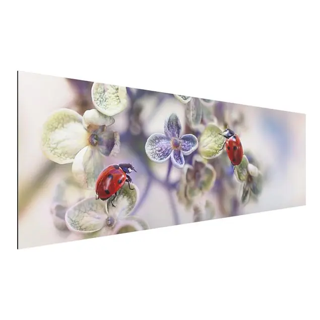 Direkt Vom Hersteller Marienkäfer im Garten Alu-Dibond Outdoor Bild