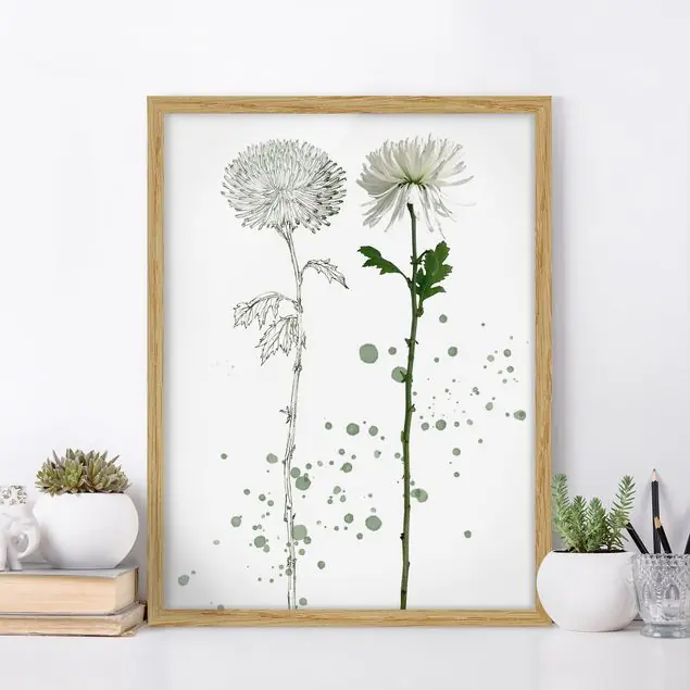 Geprüft Botanisches Aquarell - Löwenzahn Bild mit Rahmen in Manufakturqualität • Eiche naturbelassen • inkl. Rahmung von Hand • Made in Germany