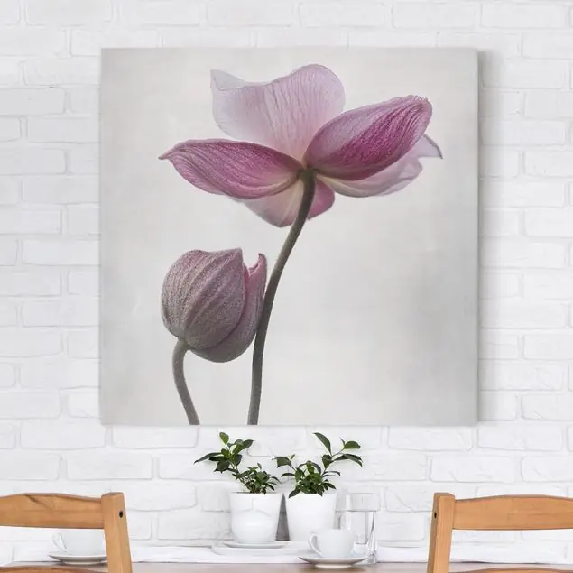 Anemonen in rosa Leinwandbild • hergestellt in Deutschland • langlebiges Canvas mit Holzkeilrahmen • klassische Struktur Nur Heute