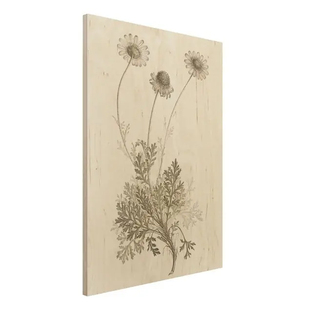 Begrenztes Angebot Botanische Studie in Sepia III Holzbild - Hochformat 3:4