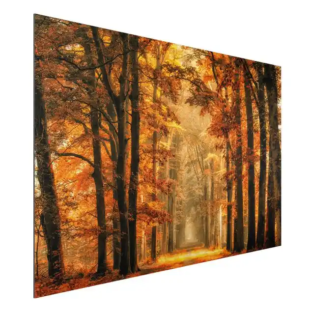 Heißes Angebot Märchenwald im Herbst Alu-Dibond Outdoor Bild