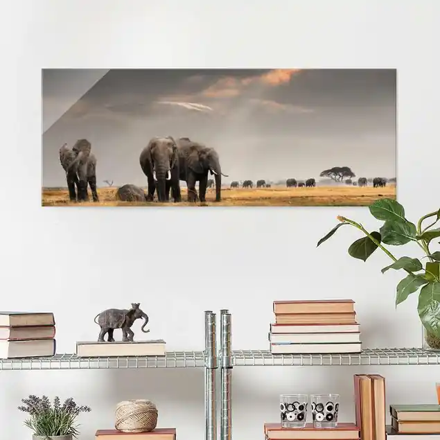 Elefanten der Savanne Glasbild - Panorama Neuheit