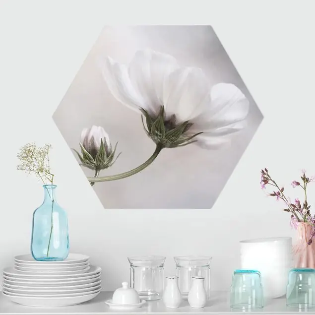 Simply Cosmos Hexagon-Forexbild Jetzt Bestellen