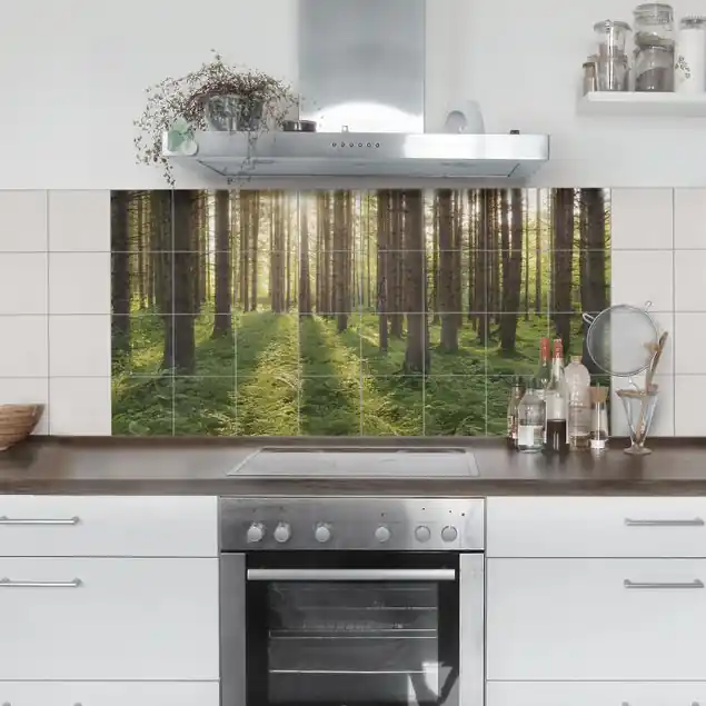 Sonnenstrahlen im Grünem Wald Kostenloser Rückversand