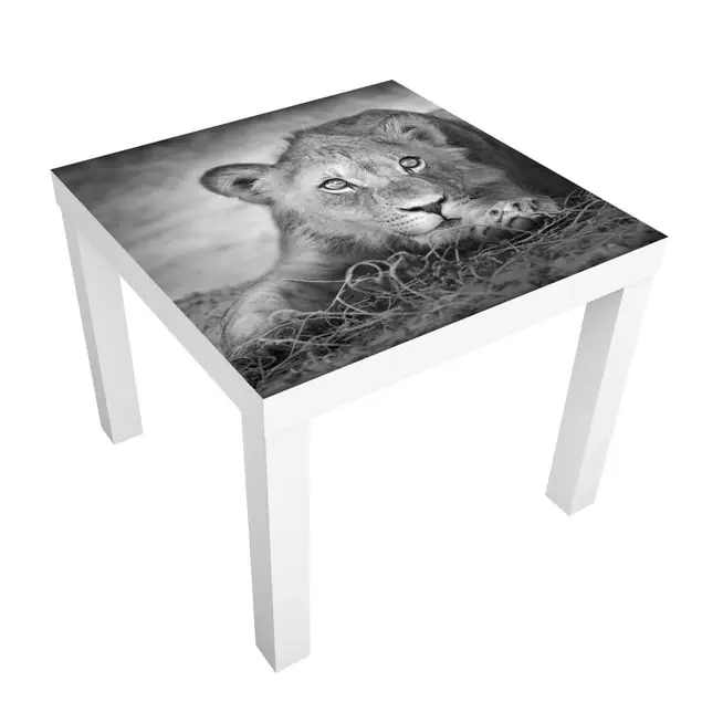 Echt Lurking Lionbaby