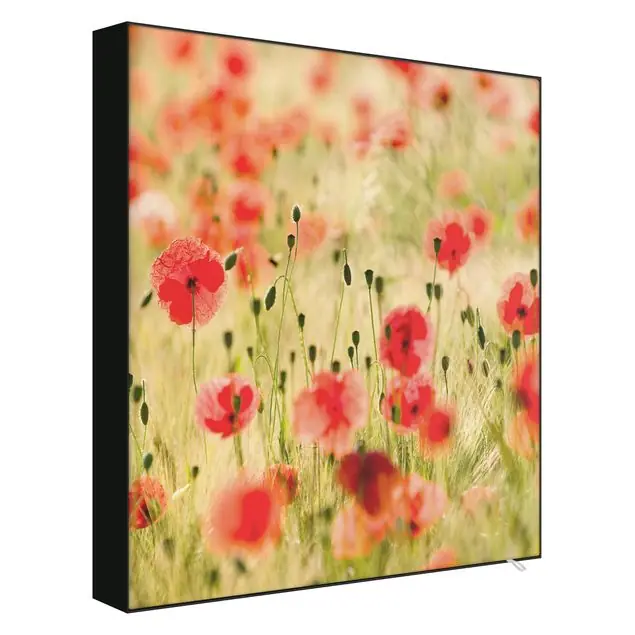 Zertifiziert Summer Poppies Wechselbild