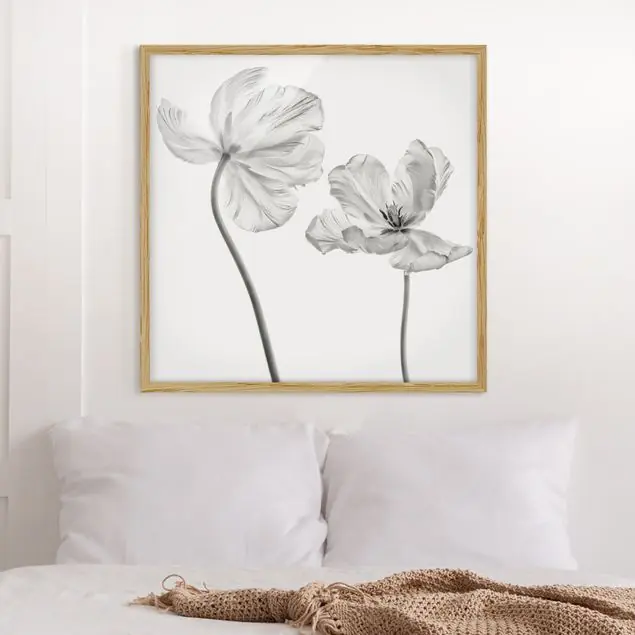 Zwei zarte weiße Tulpen Bild mit Rahmen in Manufakturqualität • Eiche naturbelassen • inkl. Rahmung von Hand • Made in Germany Neu Im Sortiment