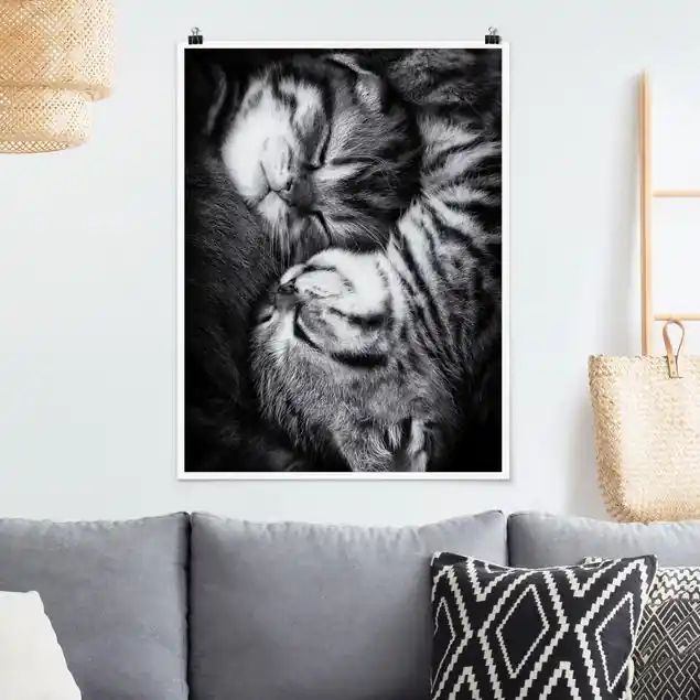 Zwei Kätzchen Poster - Hochformat Zertifiziert