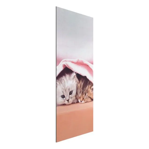 Preis Gesenkt Sugar-Sweet Alu-Dibond Bild - Hochformat Schmal