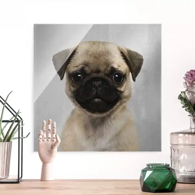 Baby Mops Moritz Glasbild Expressversand