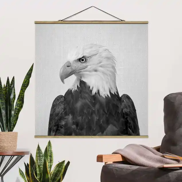 Mega-Angebot Seeadler Sokrates Schwarz Weiß Stoffbild
