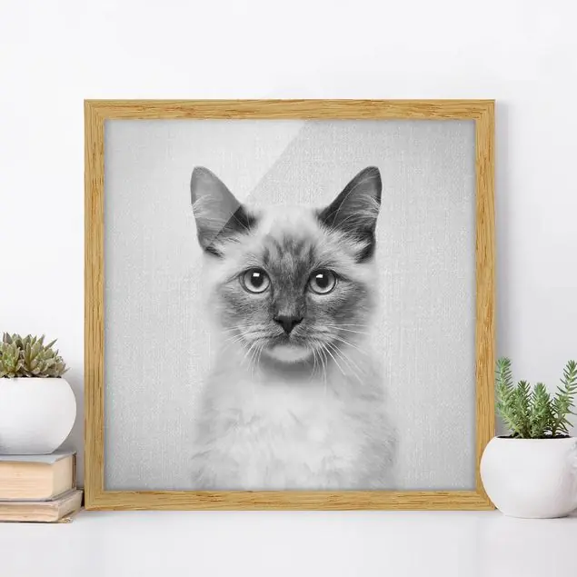 Siamkatze Sibylle Schwarz Weiß Bild mit Rahmen Heißes Angebot