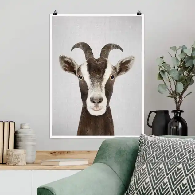 Ziege Zora Poster Markenware
