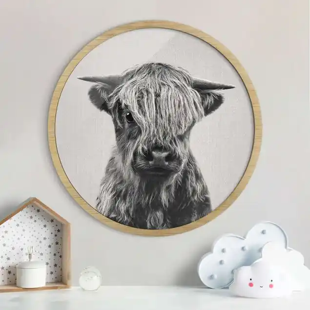 Baby Hochlandrind Henri Schwarz Weiß Rundes Bild mit Rahmen Letzte Chance