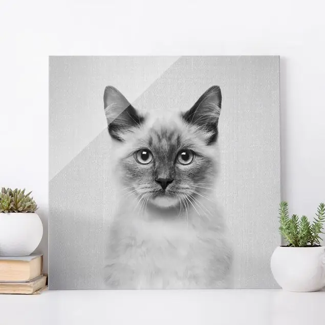 Siamkatze Sibylle Schwarz Weiß Glasbild Preiswert