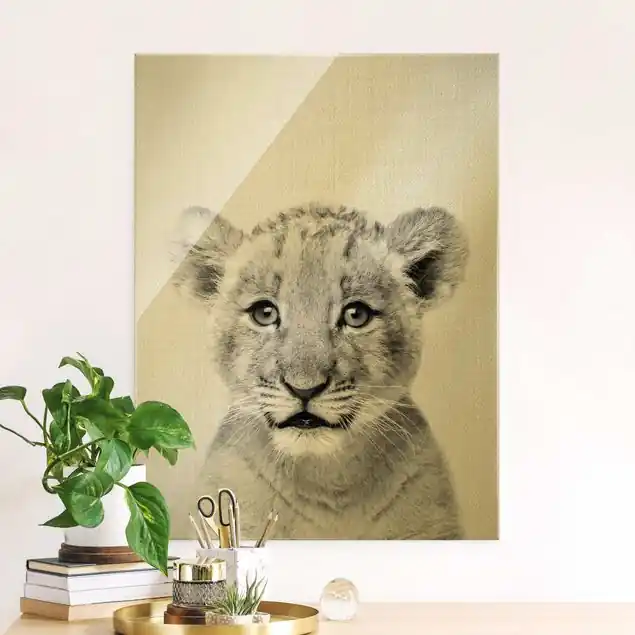 Baby Löwe Luca Schwarz Weiß Glasbild Heißes Angebot