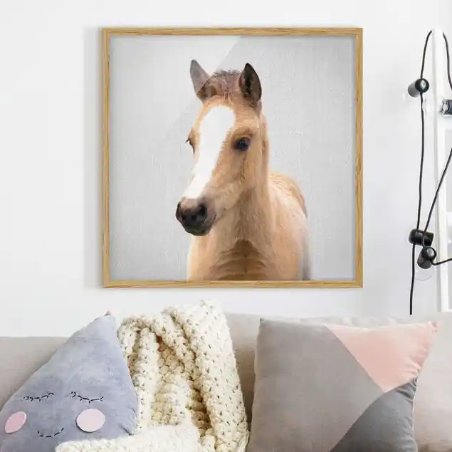 Baby Pferd Philipp Bild mit Rahmen Zertifiziert