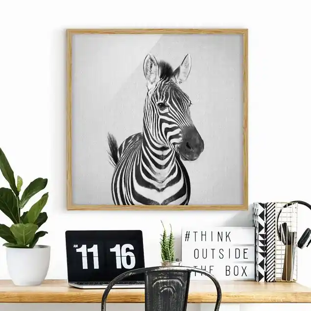 Sale Zebra Zilla Schwarz Weiß Bild mit Rahmen