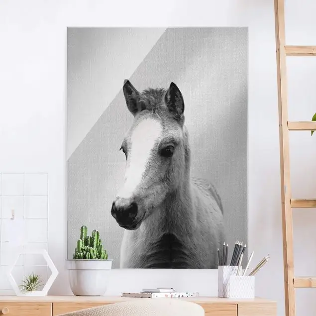 Baby Pferd Philipp Schwarz Weiß Glasbild Top-Preis