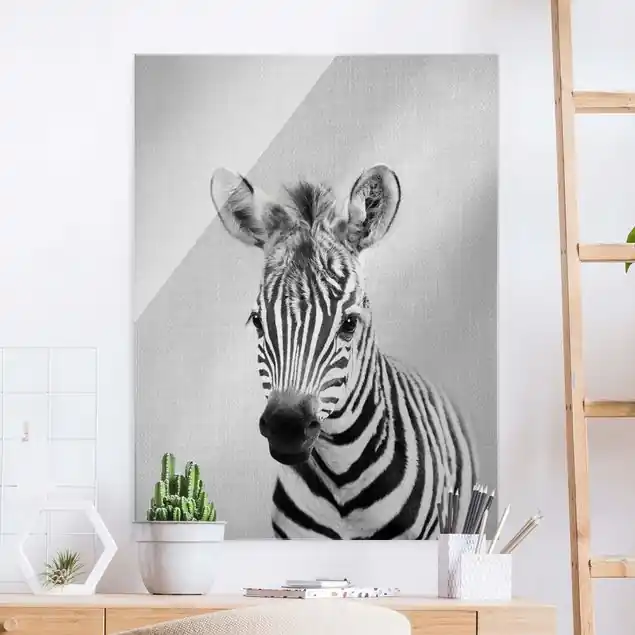 Baby Zebra Zoey Schwarz Weiß Glasbild Must-Have