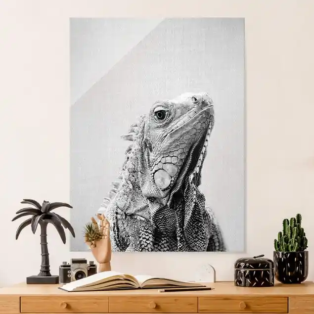 Neuheit Leguan Louis Schwarz Weiß Glasbild
