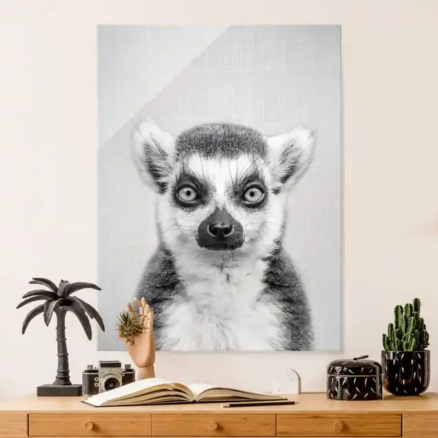 Lemur Ludwig Schwarz Weiß Glasbild Direktkauf