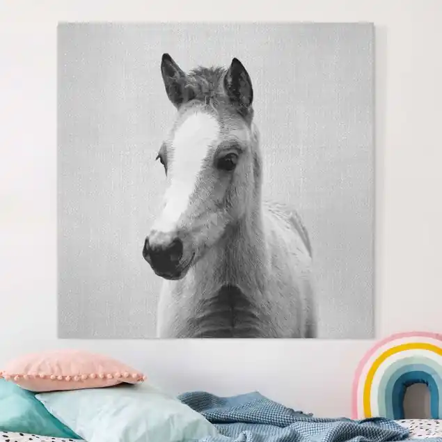 Billig Baby Pferd Philipp Schwarz Weiß Leinwandbild – Canvas