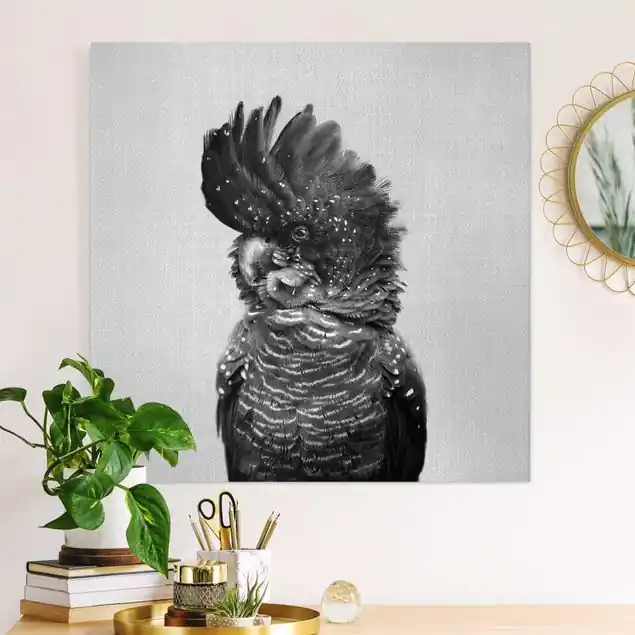 Kakadu Kanye Schwarz Weiß Leinwandbild – Canvas Sichere Zahlung