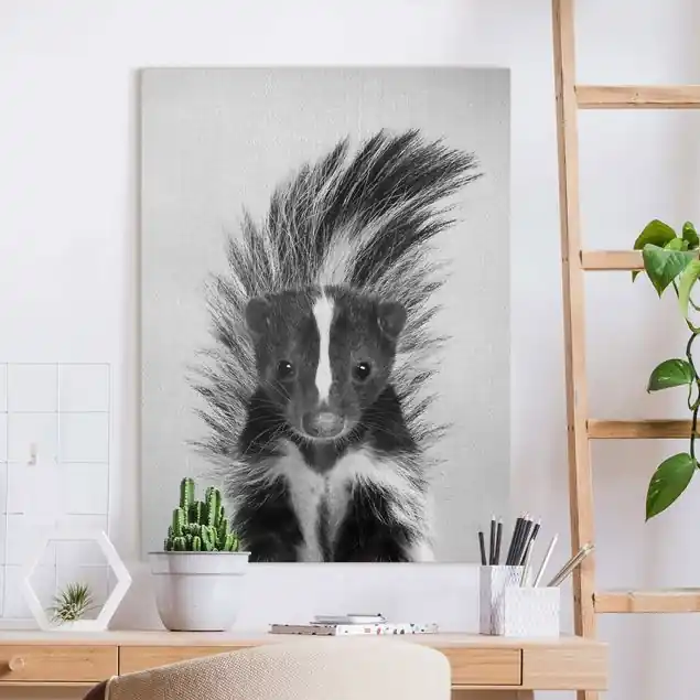 Stinktier Stuart Schwarz Weiß Leinwandbild – Canvas Kracherpreis