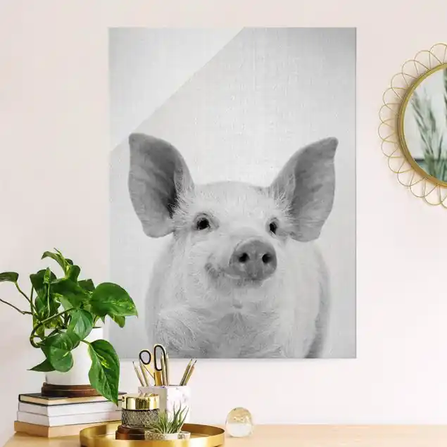 Schwein Schorsch Schwarz Weiß Glasbild Aktuell