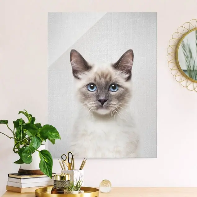 Siamkatze Sibylle Glasbild Preisreduziert