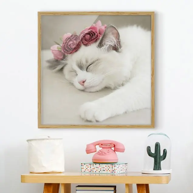Schlafende Katze mit Rosen Bild mit Rahmen Meistverkauft
