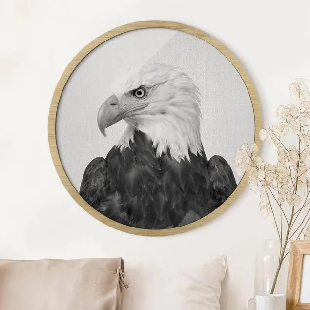 Seeadler Sokrates Schwarz Weiß Rundes Bild mit Rahmen Markenprodukt
