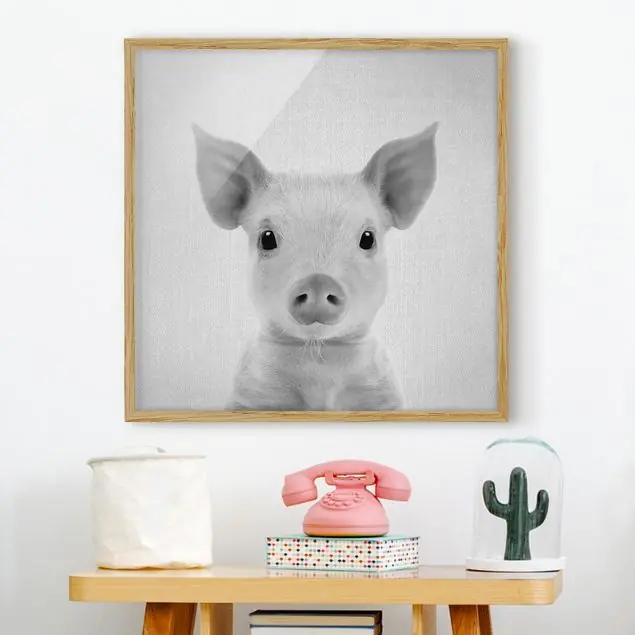 Direkt Vom Hersteller Baby Ferkel Fips Schwarz Weiß Bild mit Rahmen