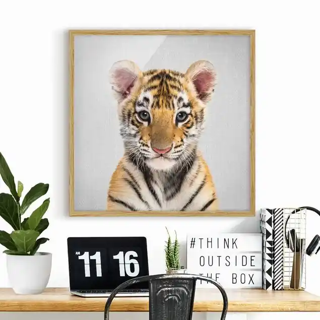 Baby Tiger Thor Bild mit Rahmen Aktuell