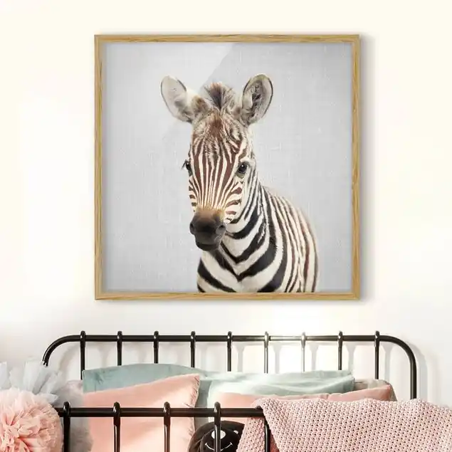 Mega-Angebot Baby Zebra Zoey Bild mit Rahmen