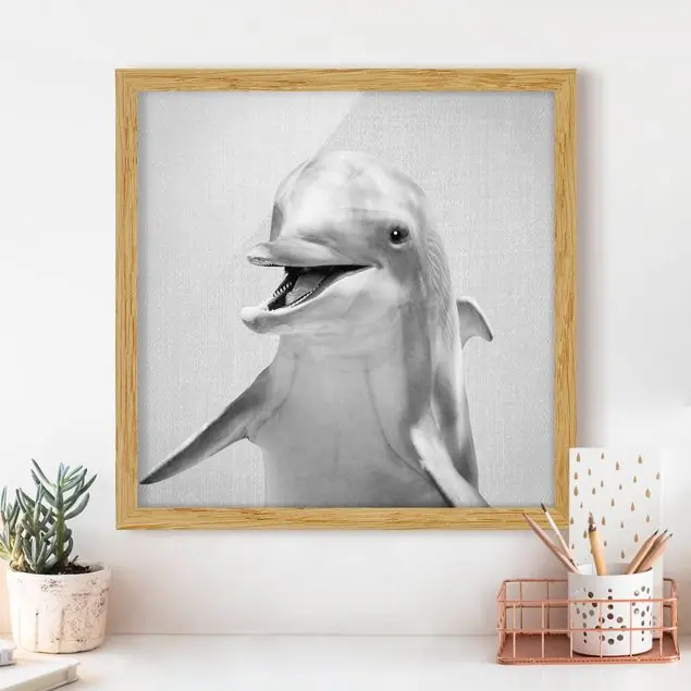 Sonderaktion Delfin Diddi Schwarz Weiß Bild mit Rahmen
