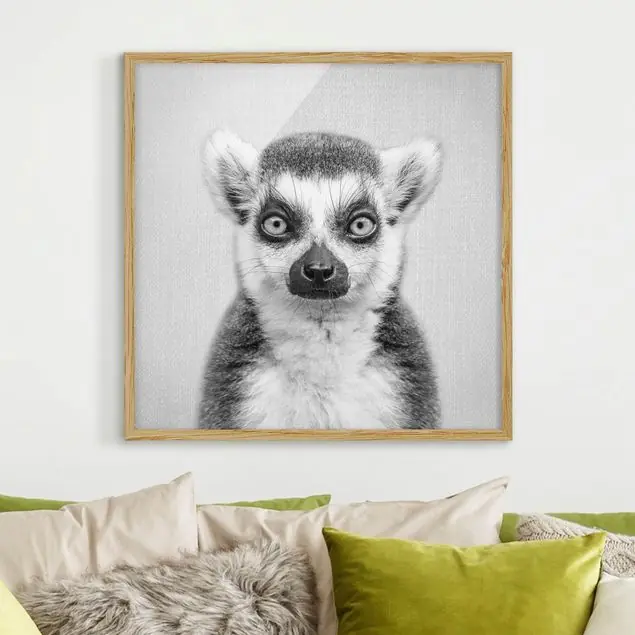 Lemur Ludwig Schwarz Weiß Bild mit Rahmen Letzte Chance