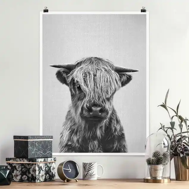 Baby Hochlandrind Henri Schwarz Weiß Poster Heißes Angebot