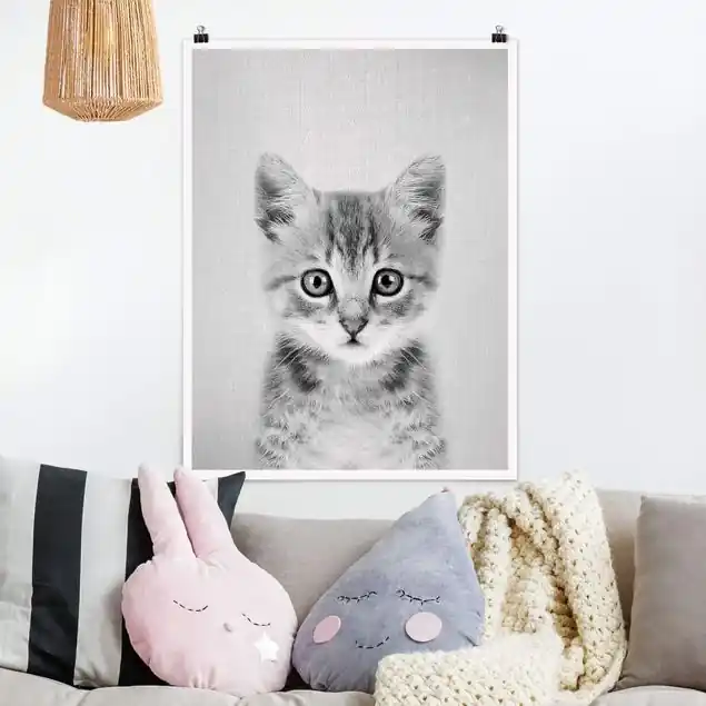 Bestpreis Baby Katze Killi Schwarz Weiß Poster